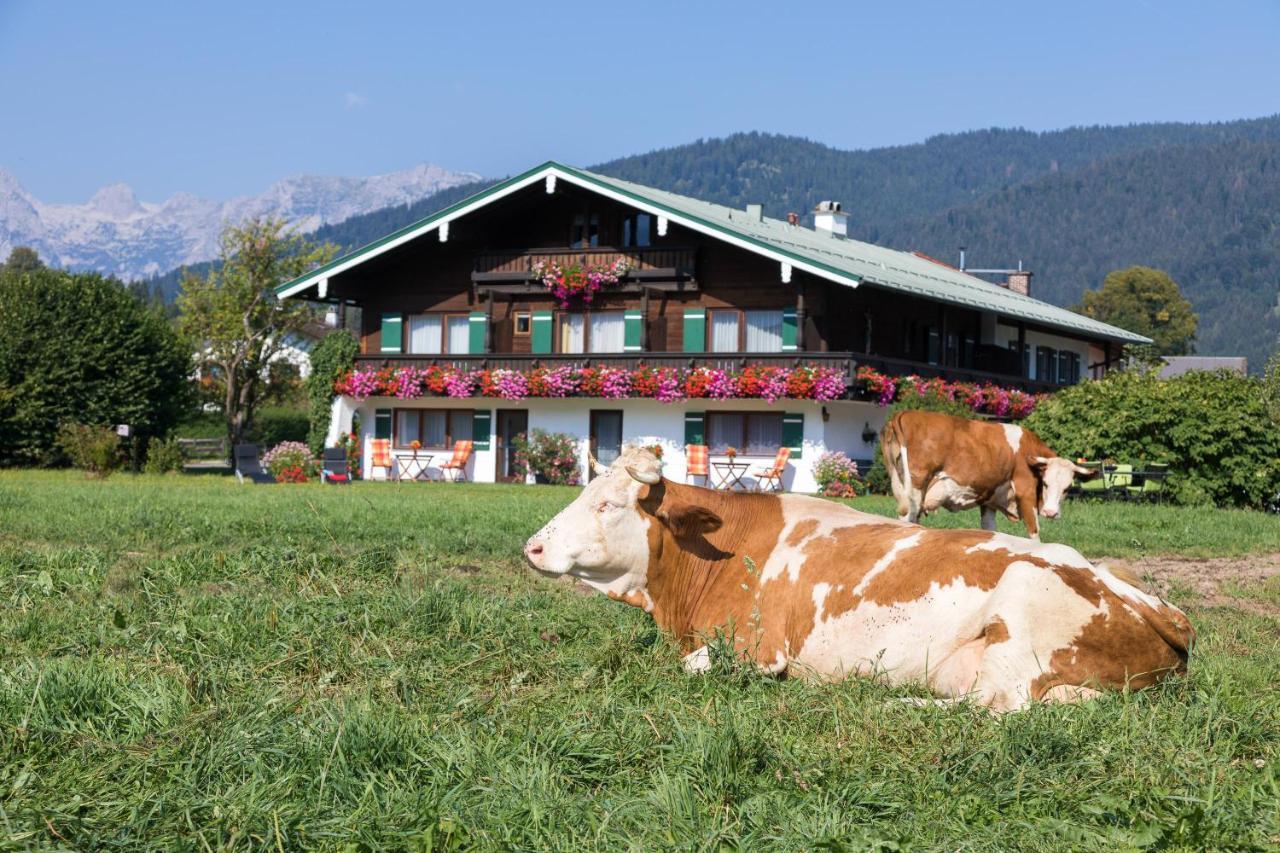 Ferienwohnung Drachllehen Schönau am Königssee المظهر الخارجي الصورة