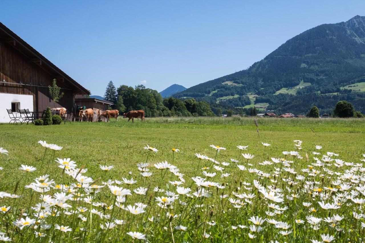 Ferienwohnung Drachllehen Schönau am Königssee المظهر الخارجي الصورة